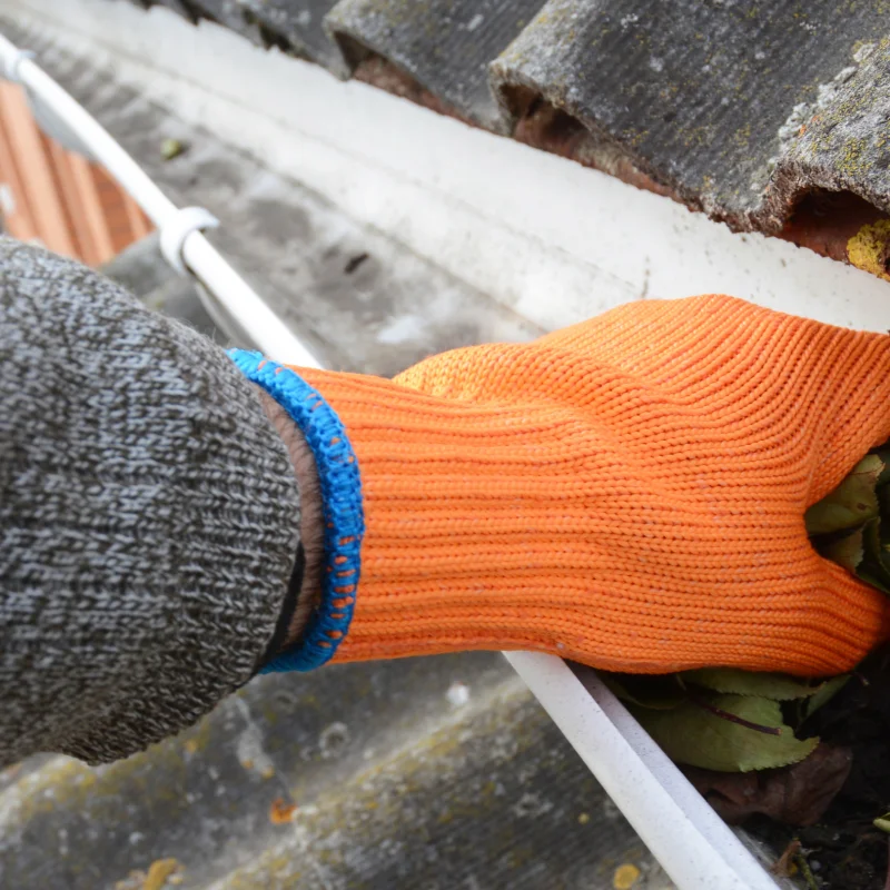 Gutter Cleaning
