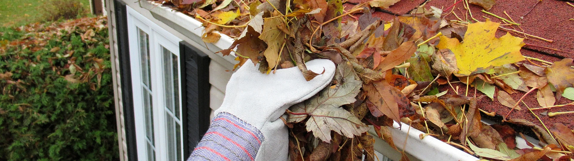 breadcrumb Gutter Cleaning